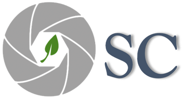 Open Source Controls